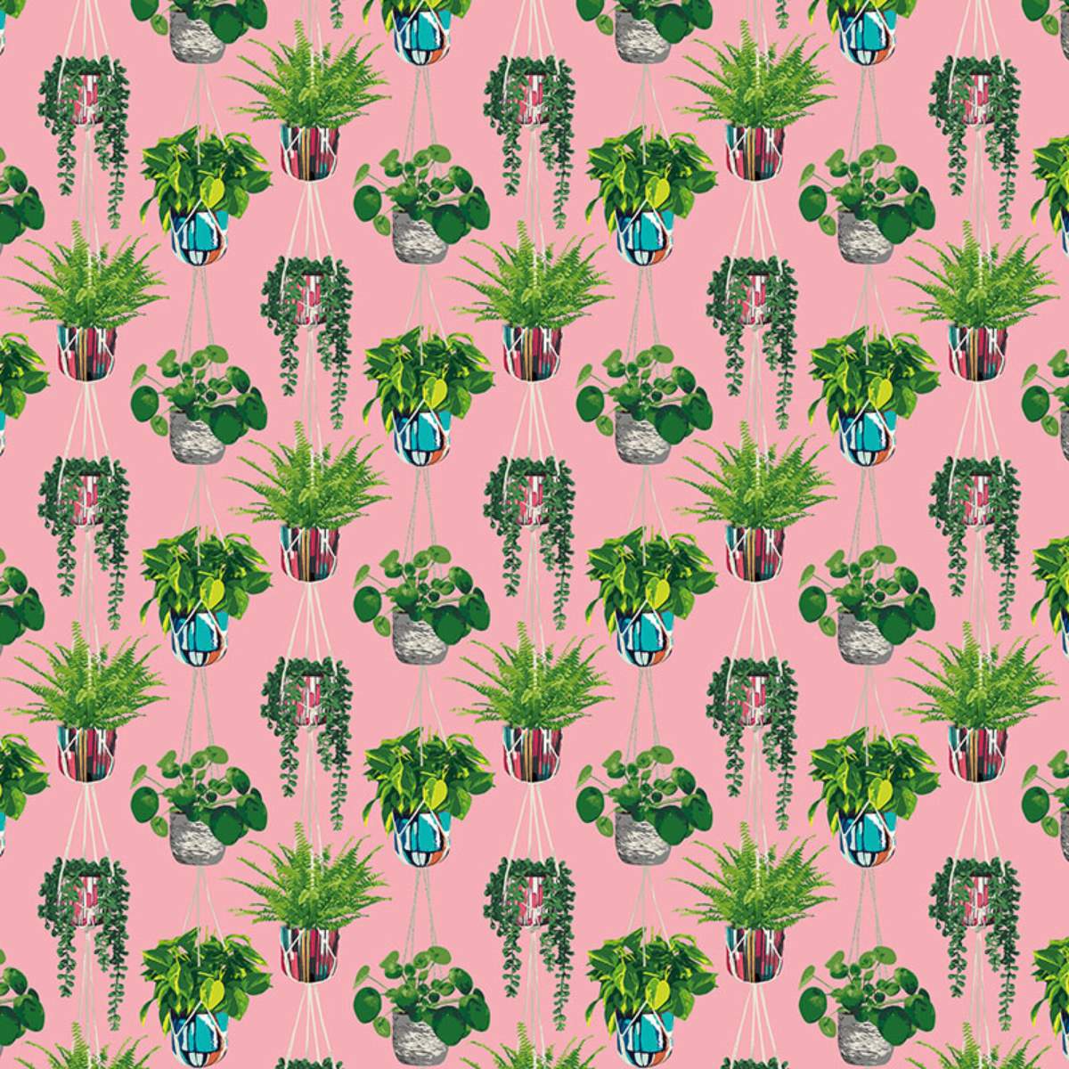Ohpopsi Grafik Houseplant	- Bubblegum