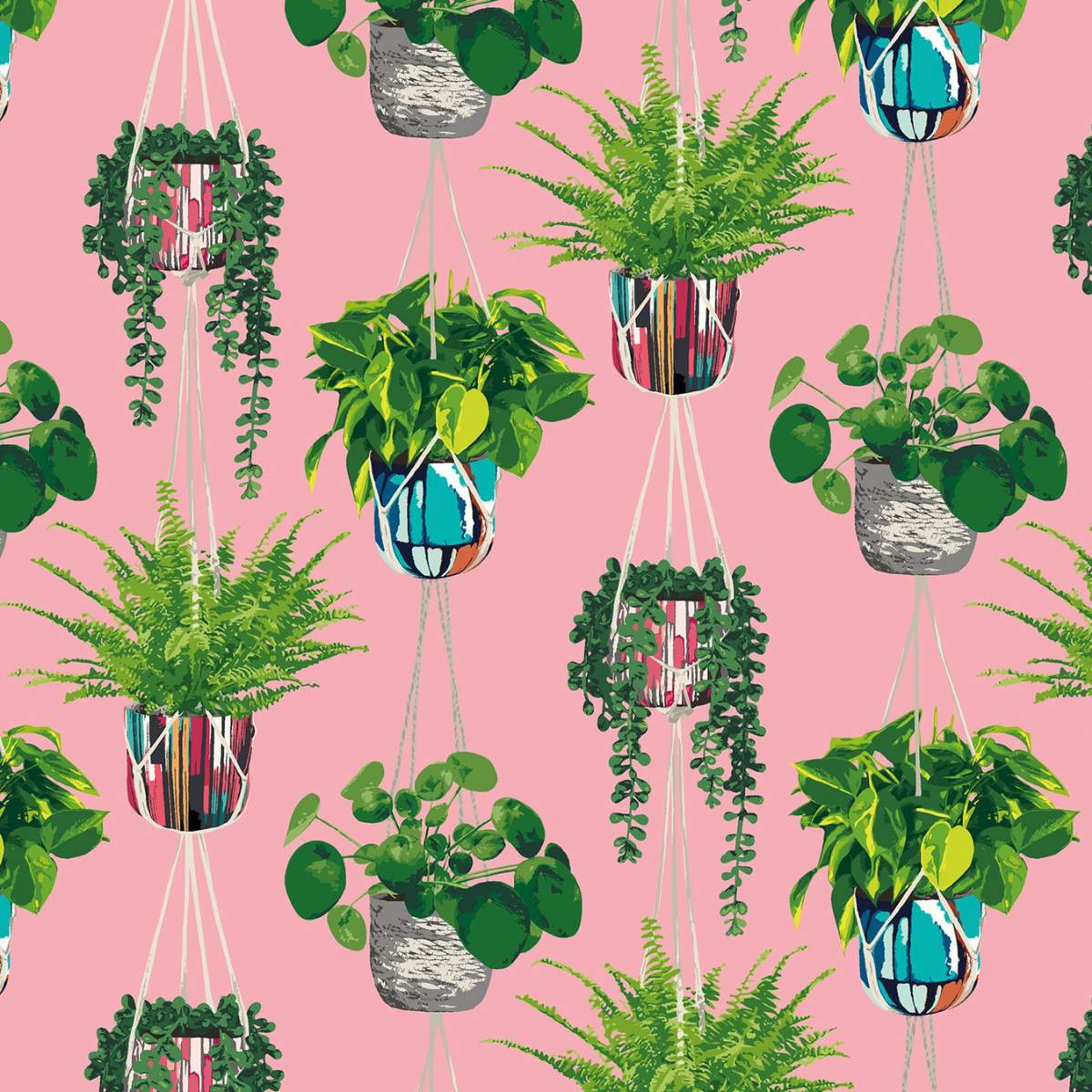 Ohpopsi Grafik Houseplant	- Bubblegum