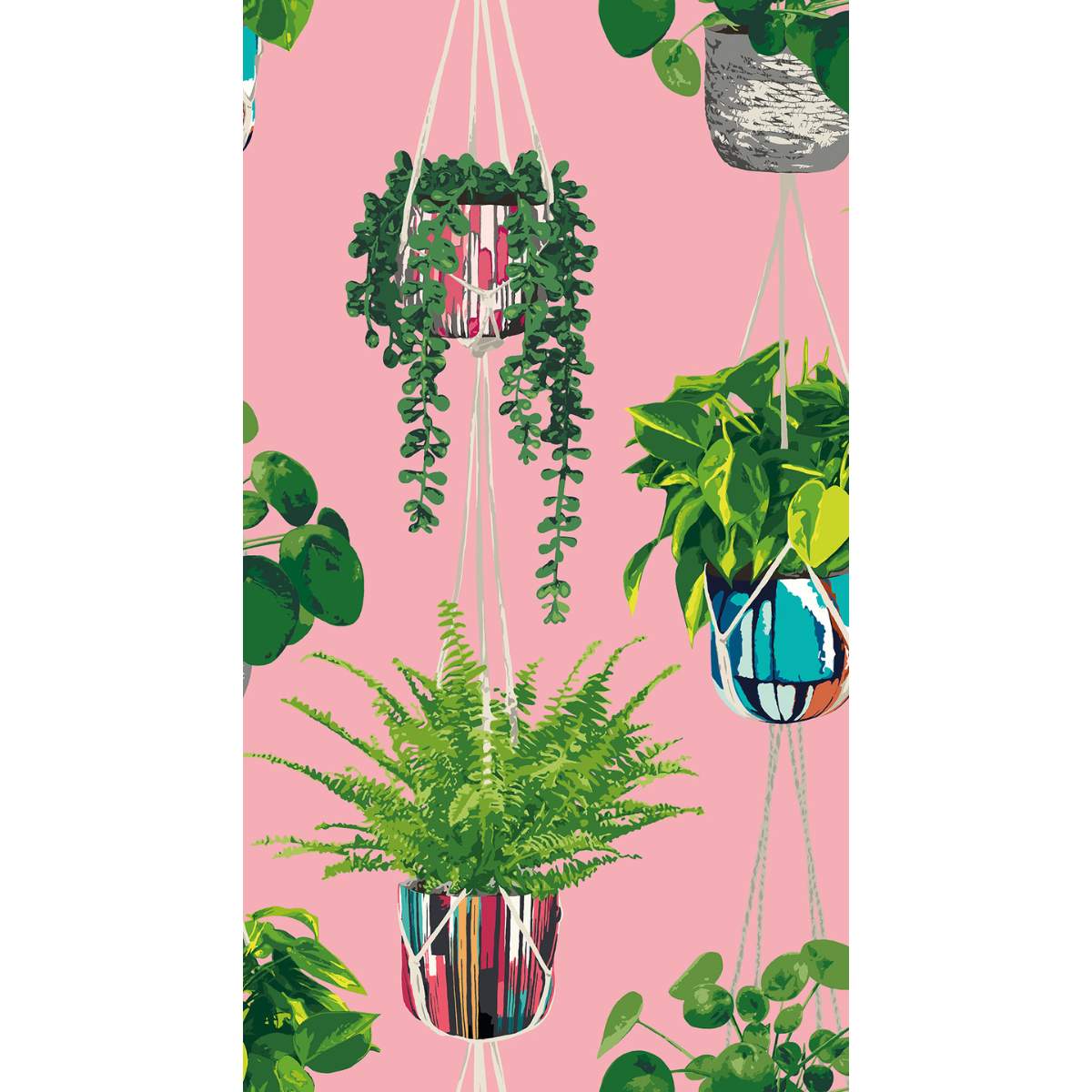 Ohpopsi Grafik Houseplant	- Bubblegum