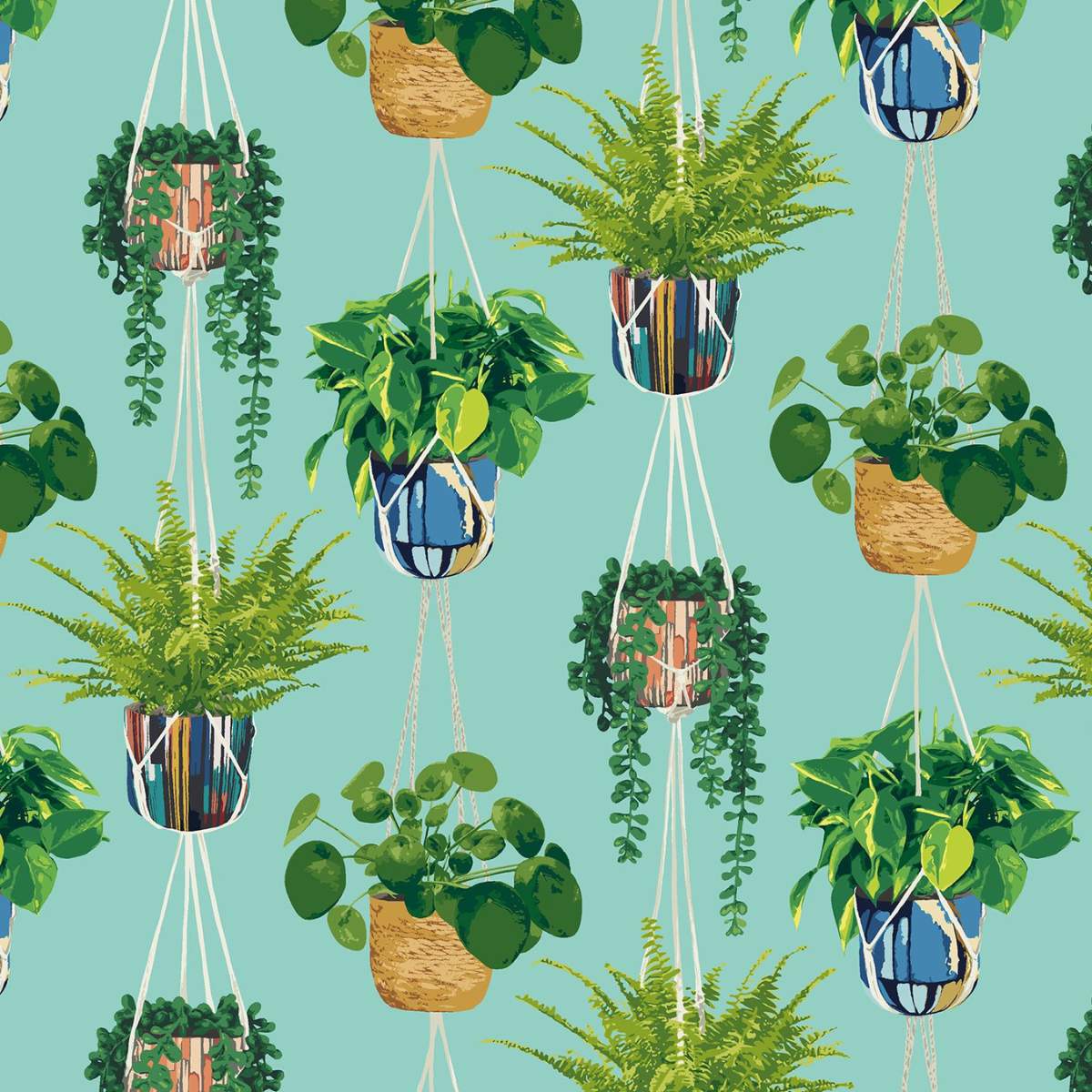 Ohpopsi Grafik Houseplant	- Cerulean Twist