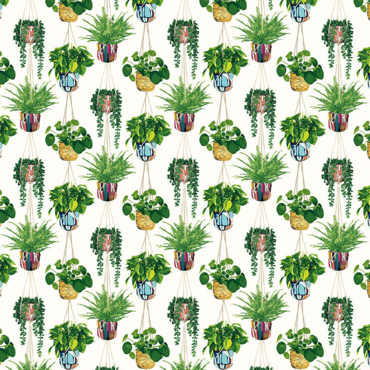 Ohpopsi Grafik Houseplant	- Parakeet