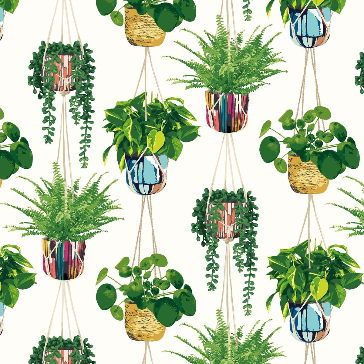 Ohpopsi Grafik Houseplant	- Parakeet