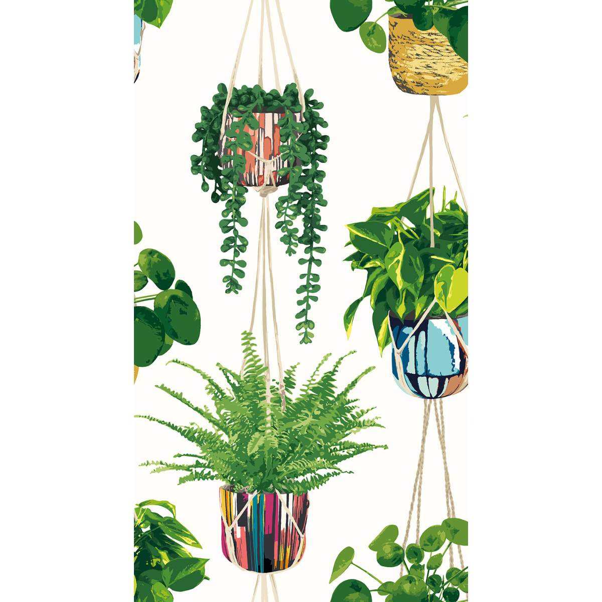 Ohpopsi Grafik Houseplant	- Parakeet