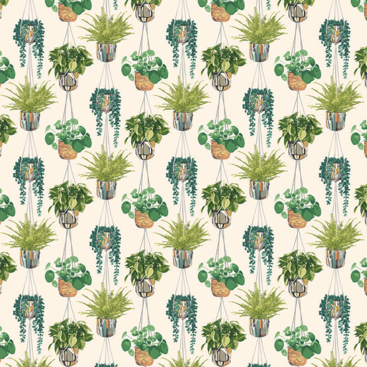 Ohpopsi Grafik Houseplant	- Sage & Cider