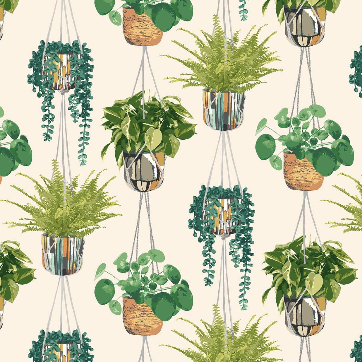 Ohpopsi Grafik Houseplant	- Sage & Cider