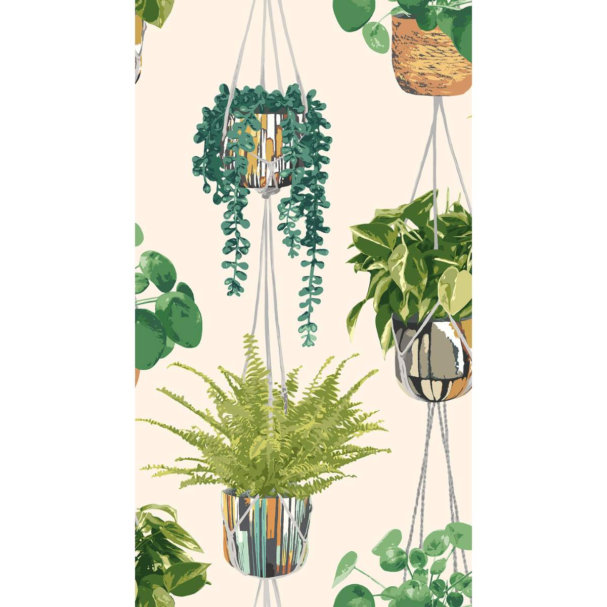 Ohpopsi Grafik Houseplant	- Sage & Cider