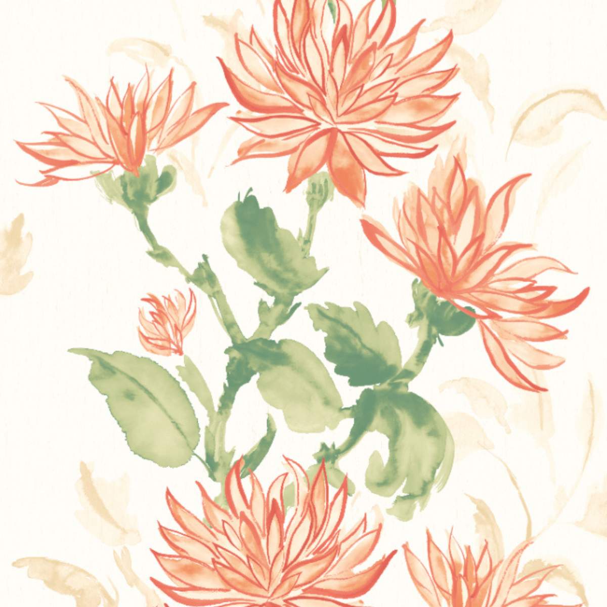 Ohpopsi Hanashi Kiku - Coral