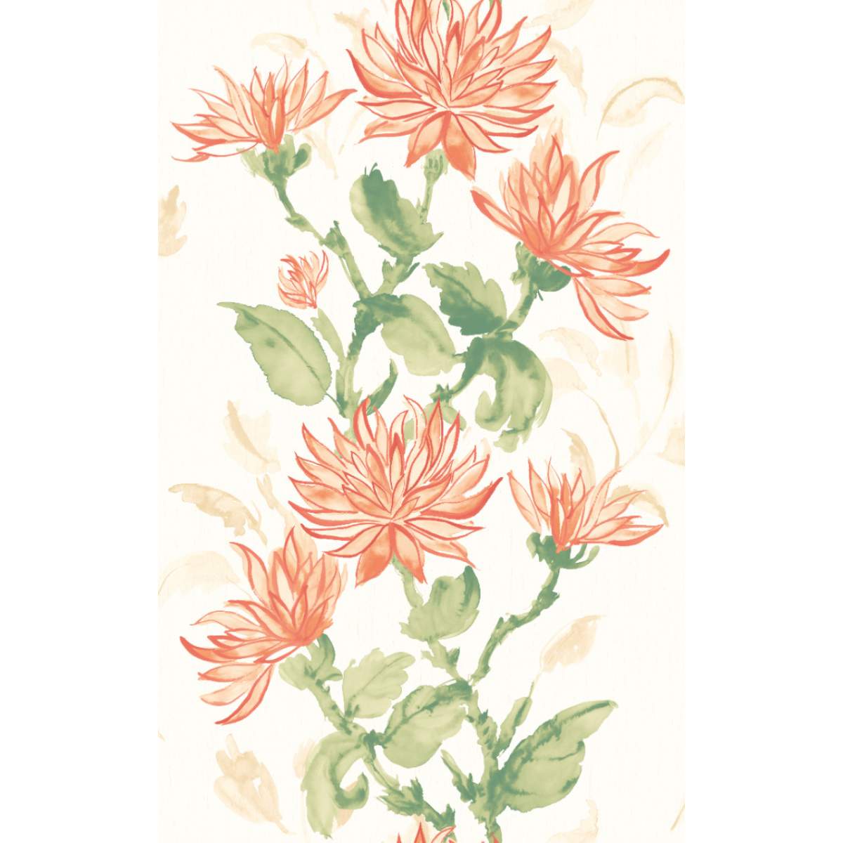 Ohpopsi Hanashi Kiku - Coral