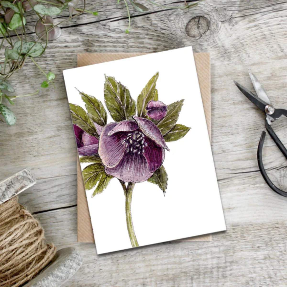 Toasted Crumpet Hellebore Card