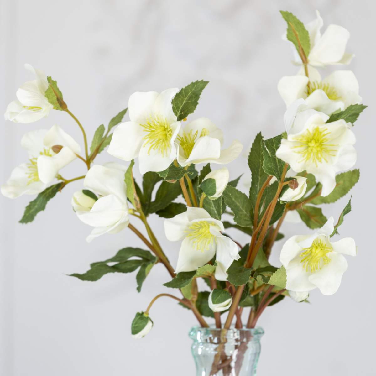 Grand Illusions Hellebore Off White