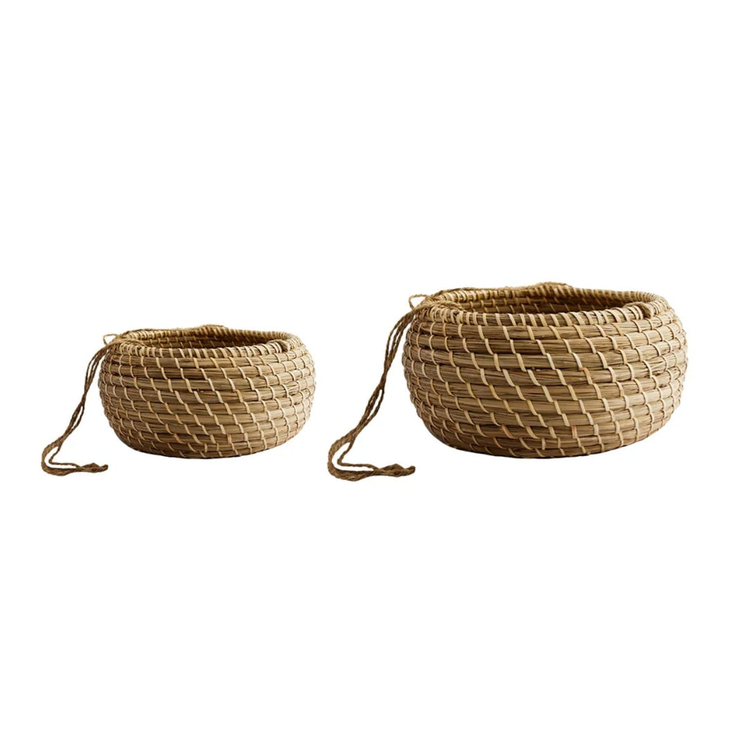 Ivyline Hanging Seagrass Planter Set of 2