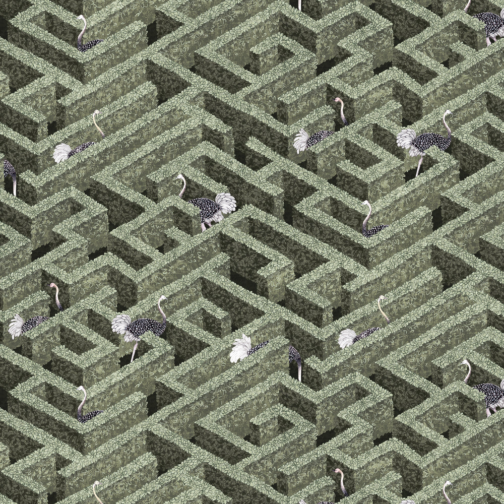 Labyrinth With Ostriches Wallpaper-Beaumonde