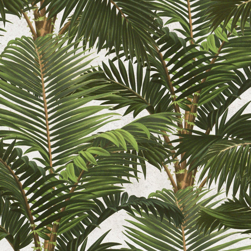 Jardin Tropical Wallpaper Set - Green-Beaumonde