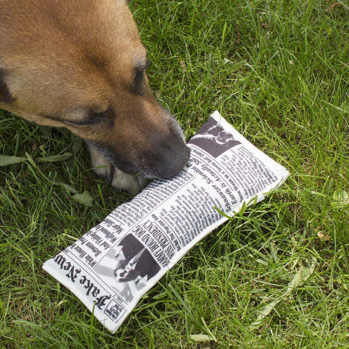 Kikkerland Doggy Fake News Dog Toy-Beaumonde