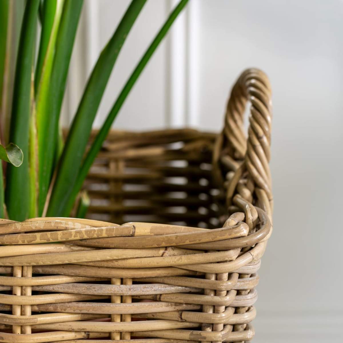 Grand Illusions Kubu Lined Planter Medium