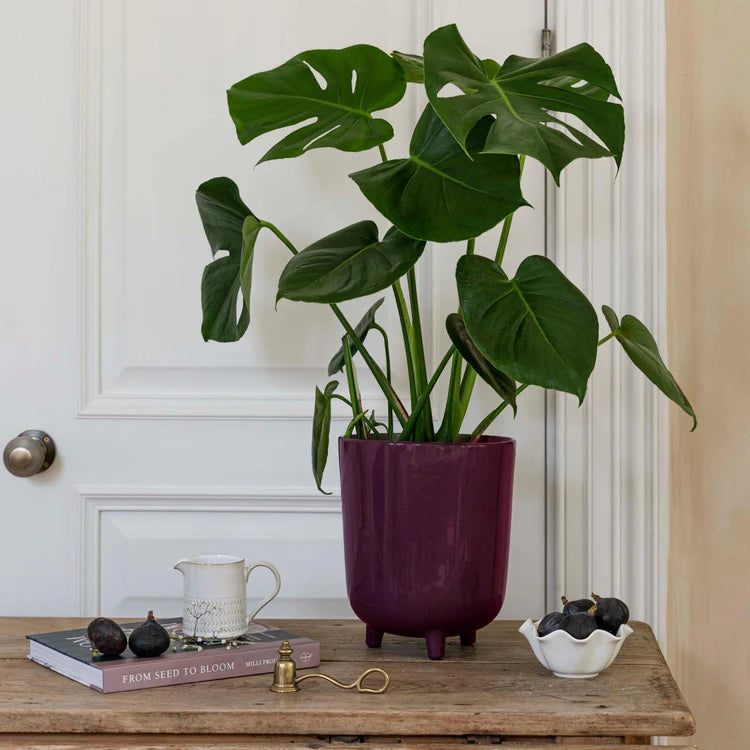 LPSP20_LPSP20_Ivyline Lecce Speckled Plant Pot Plum Lifestyle