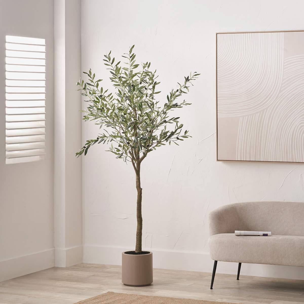 Pacific Lifestyle Large Olive Tree in Pot