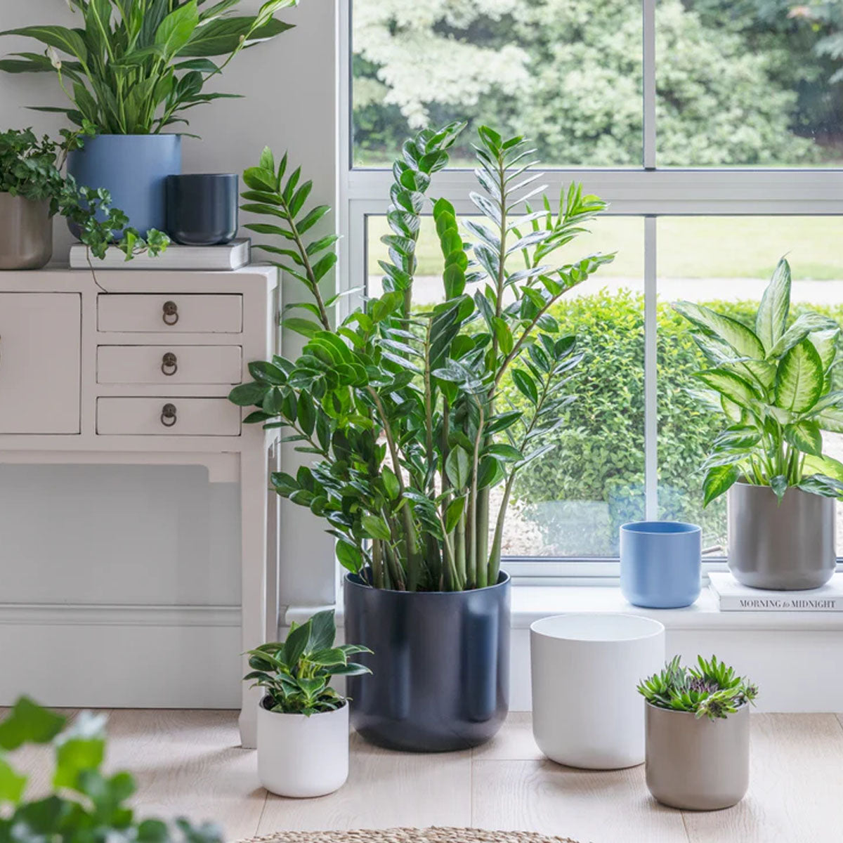 Ivyline Lisbon Planter