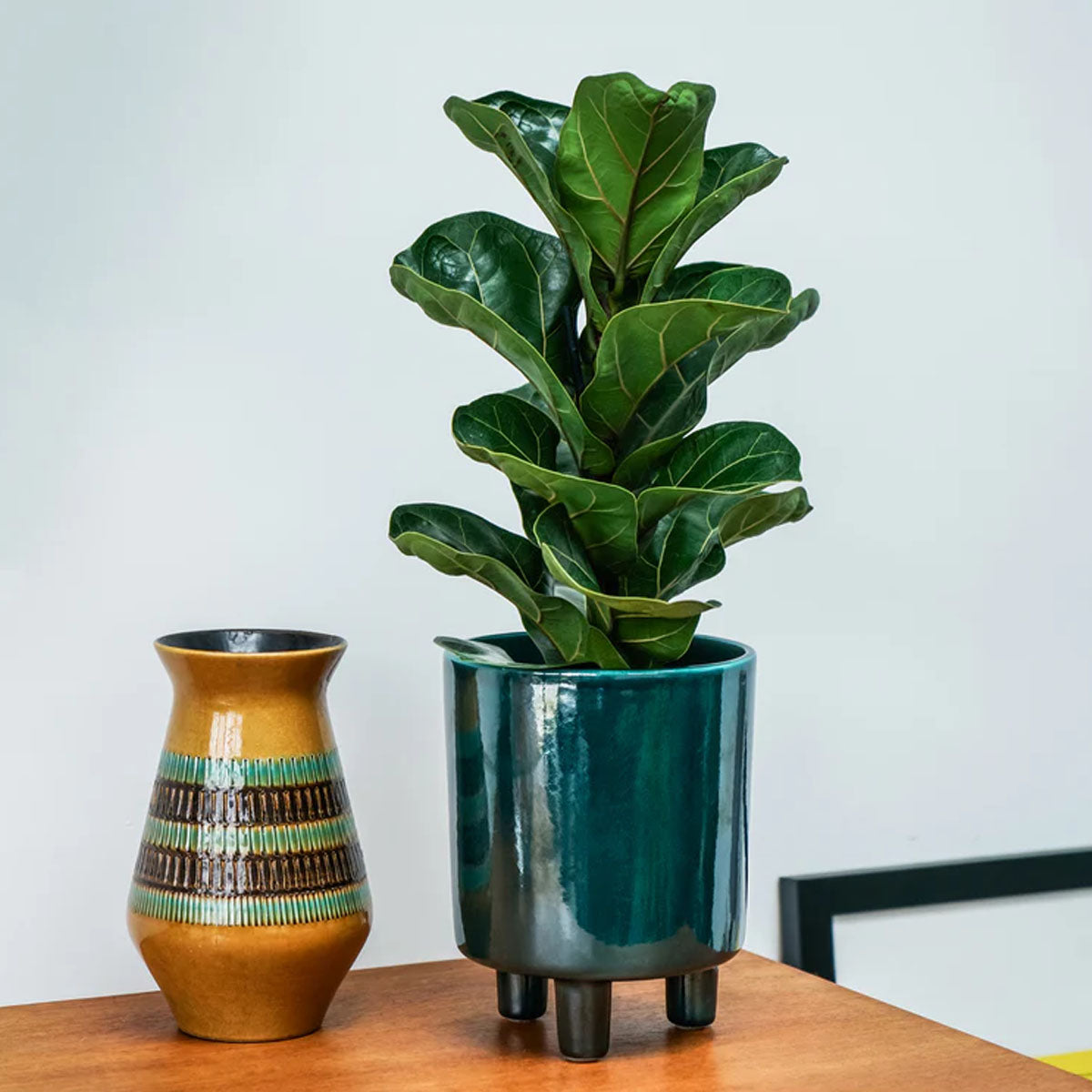 Ivyline Pisa Planter