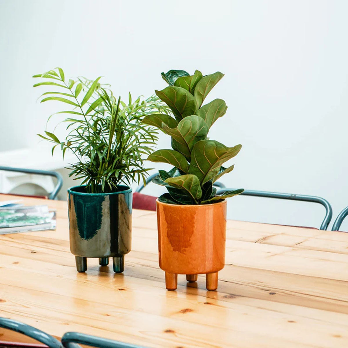 Ivyline Pisa Planter