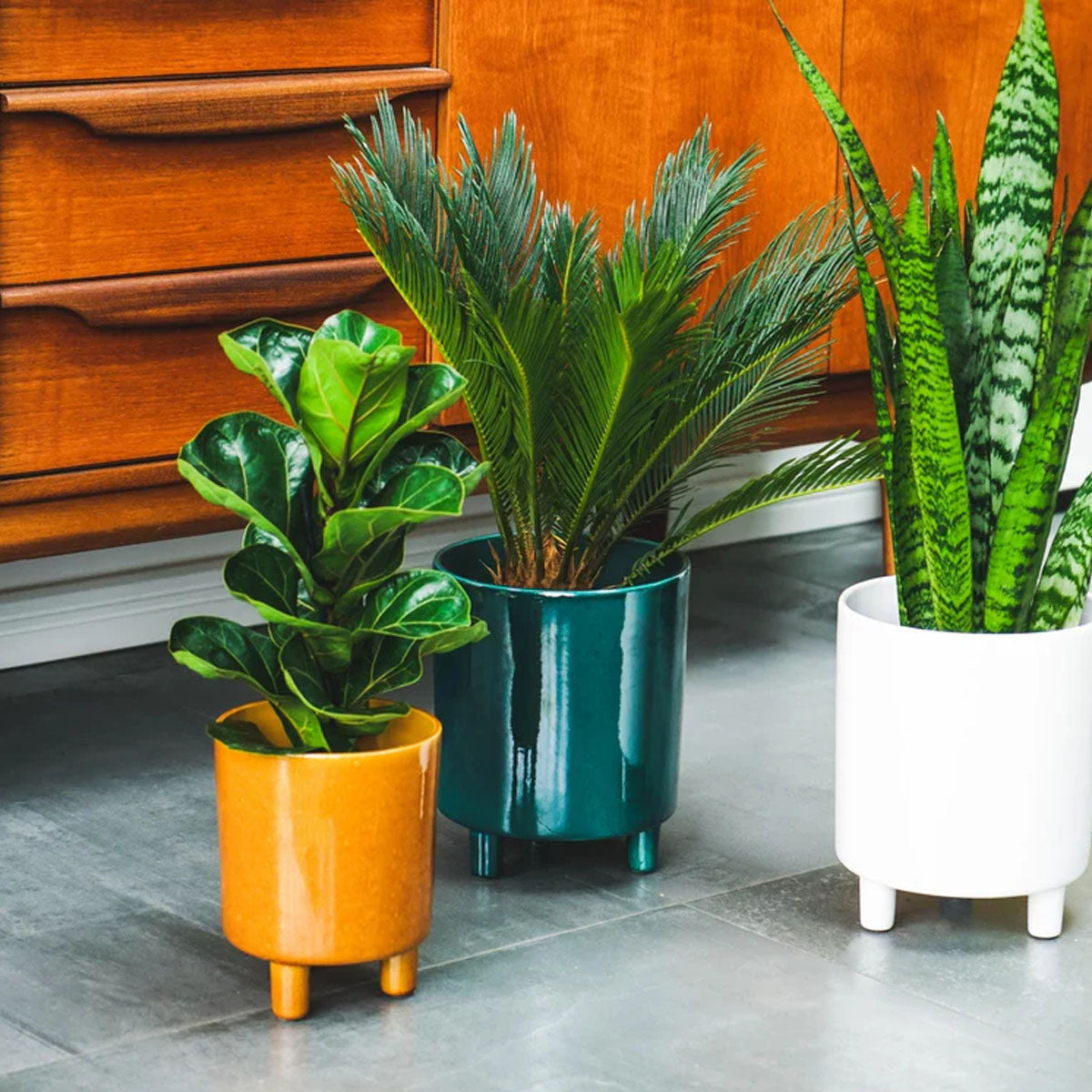Ivyline Pisa Planter