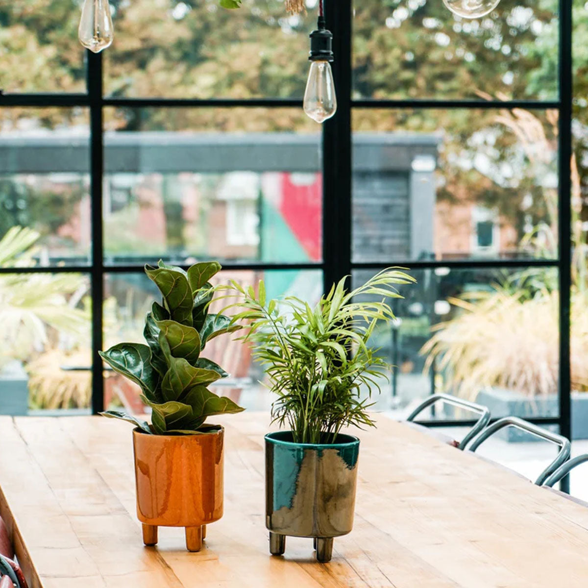 Ivyline Pisa Planter