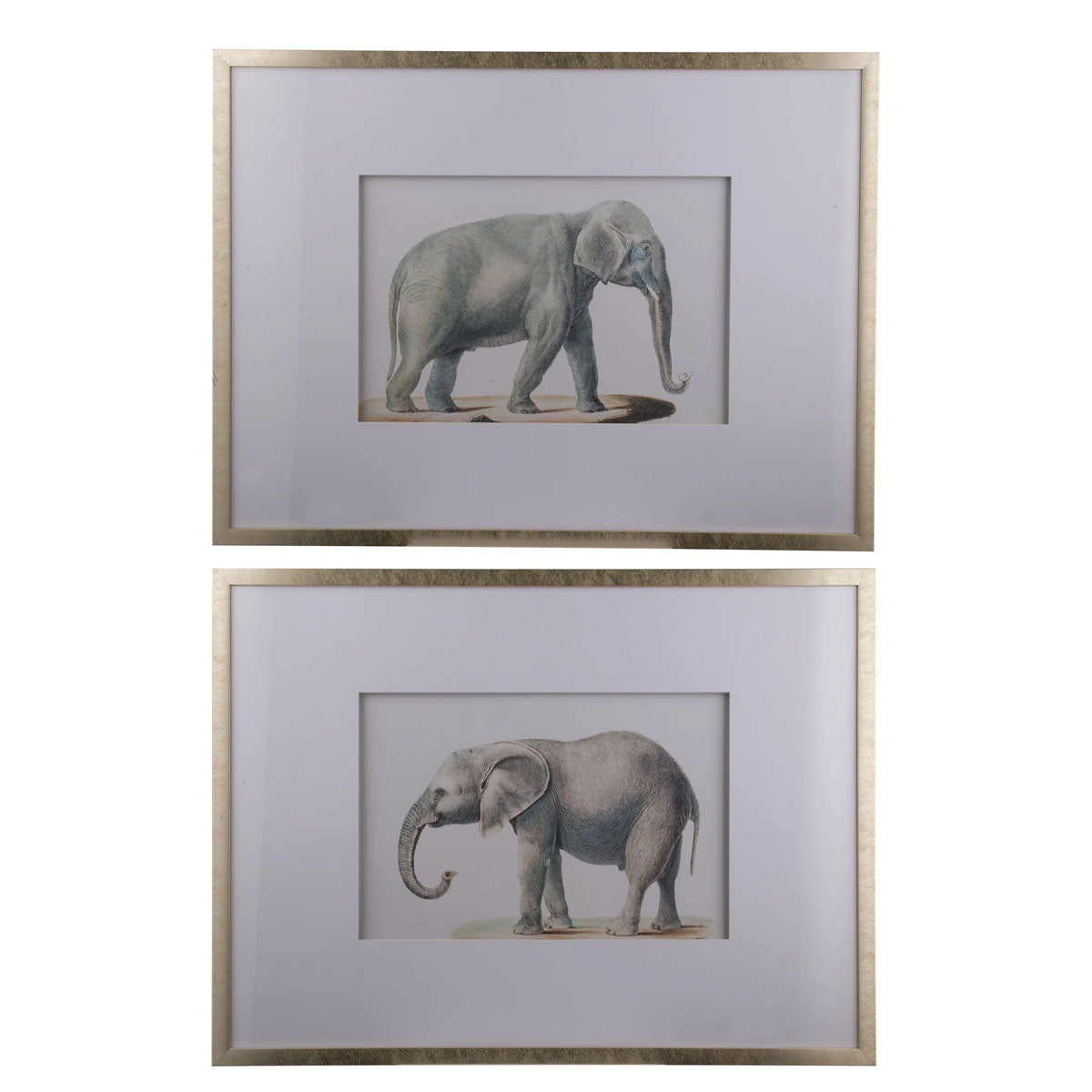 Mindy Brownes Elephant Set Of 2 Pictures