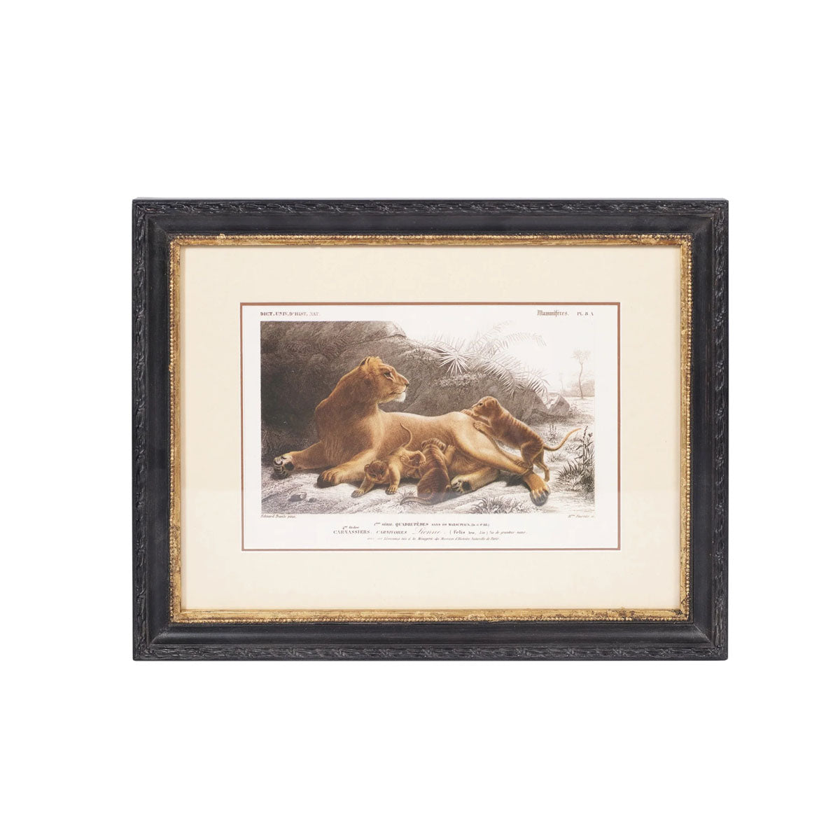 Mindy Brownes Lion and Elephant Print