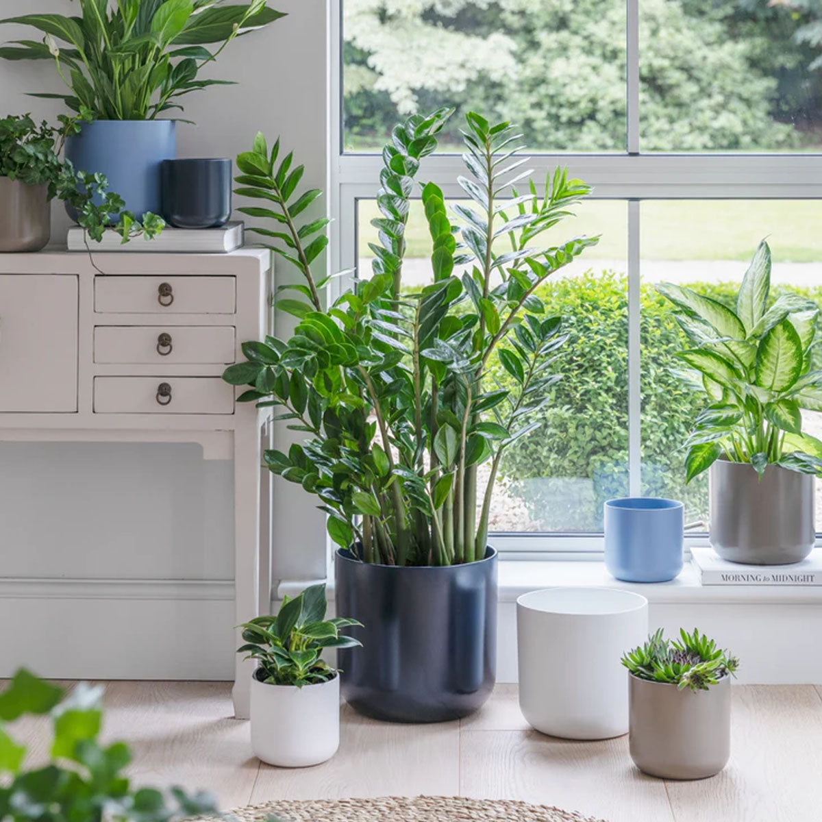 Ivyline Lisbon Planter