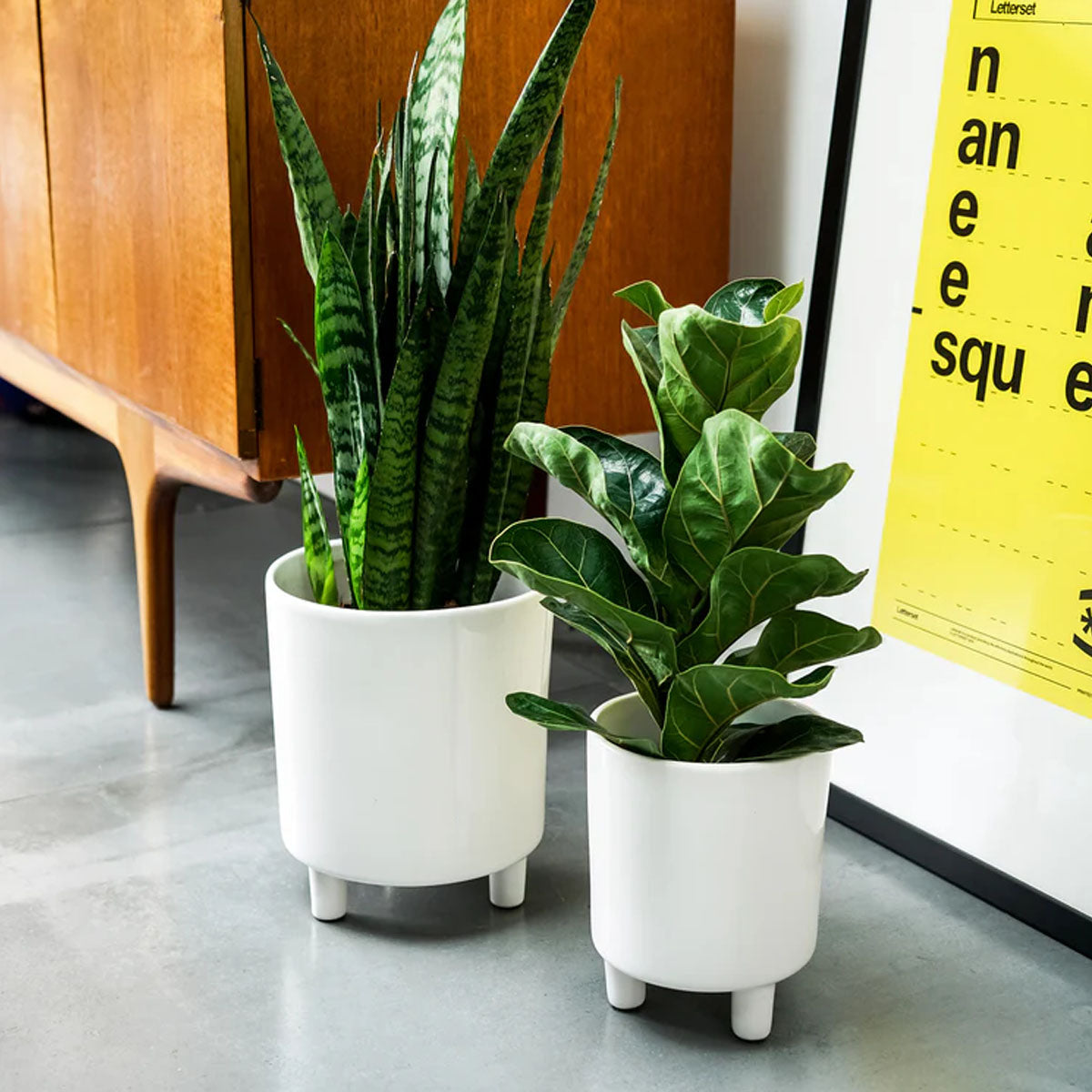 Ivyline Pisa Planter