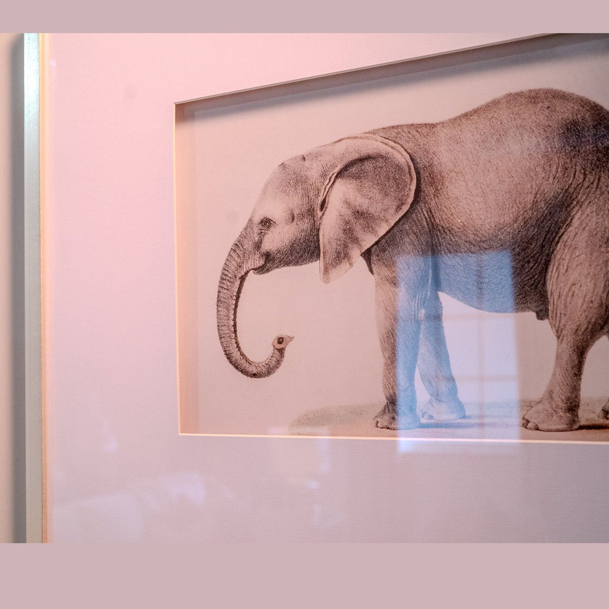 Mindy Brownes Elephant Set Of 2 Pictures