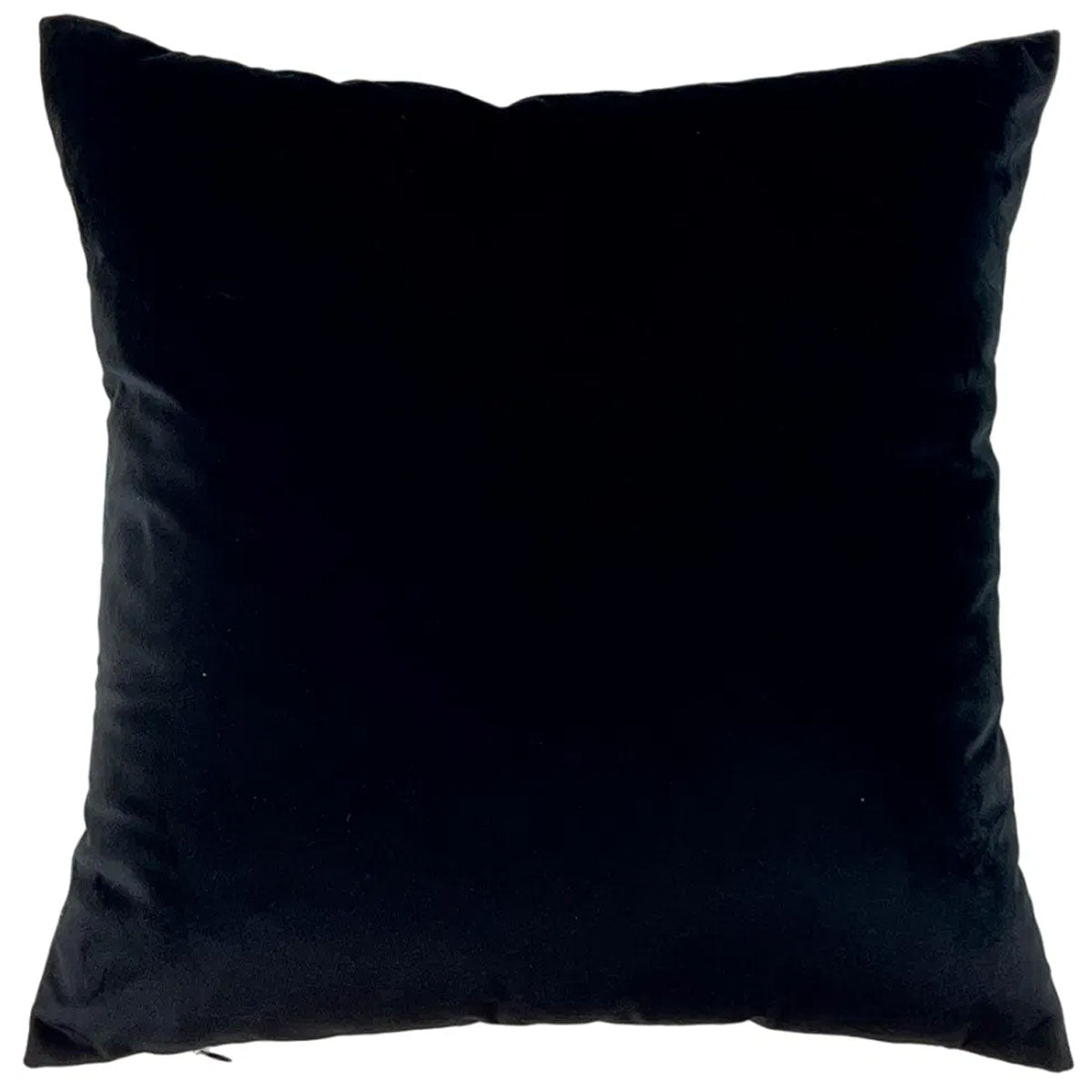 Malini Featherfolk Cushion