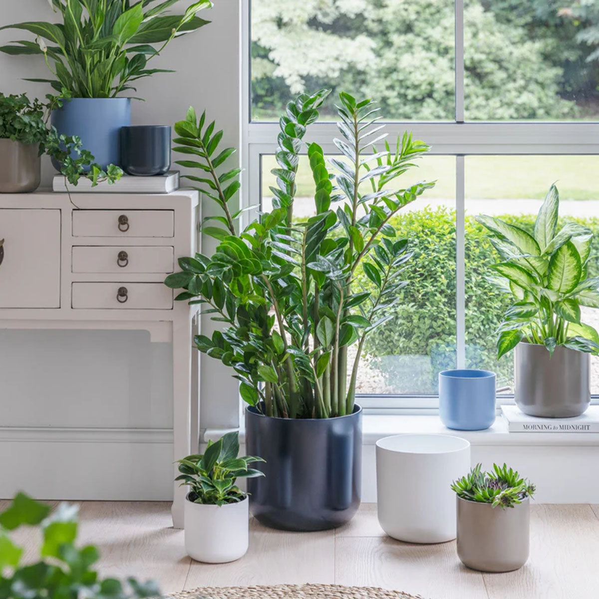 Ivyline Lisbon Planter