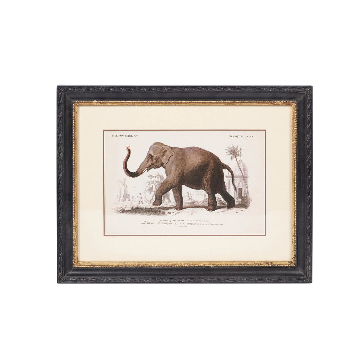 Mindy Brownes Lion and Elephant Print