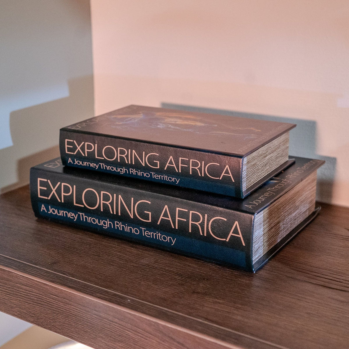 Mindy Brownes Aftica Book Box Set/2