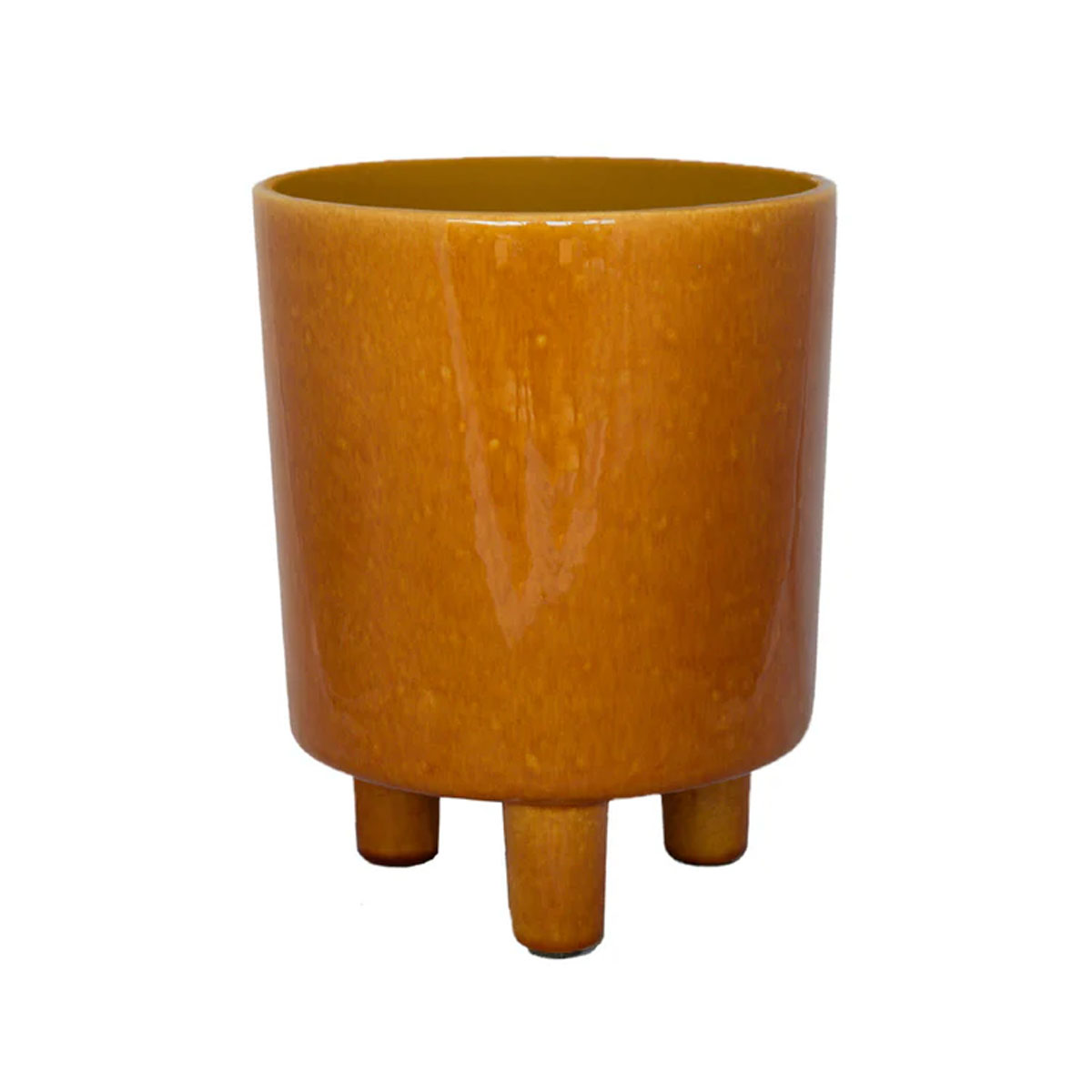 Ivyline Pisa Planter