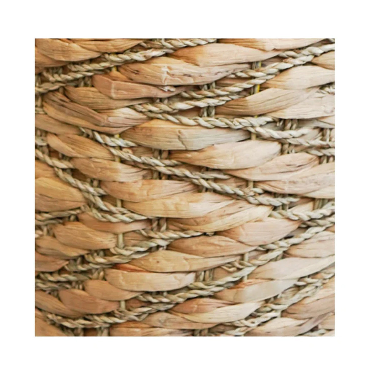 Ivyline Water Hyacinth Woven Log Basket with Handles Set of 2