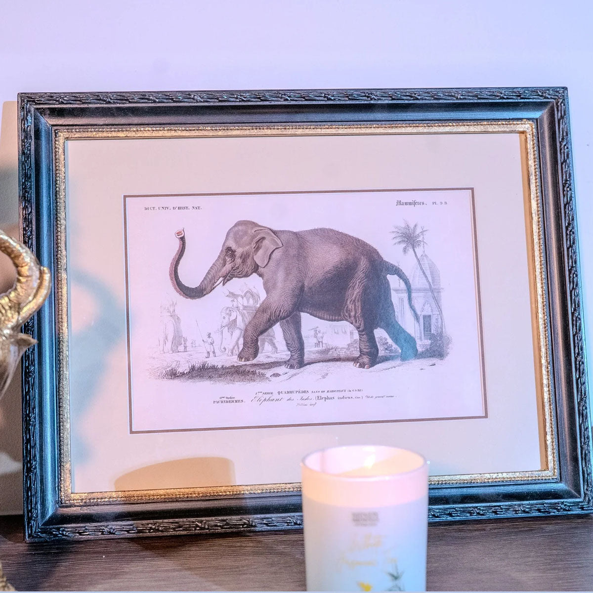 Mindy Brownes Lion and Elephant Print