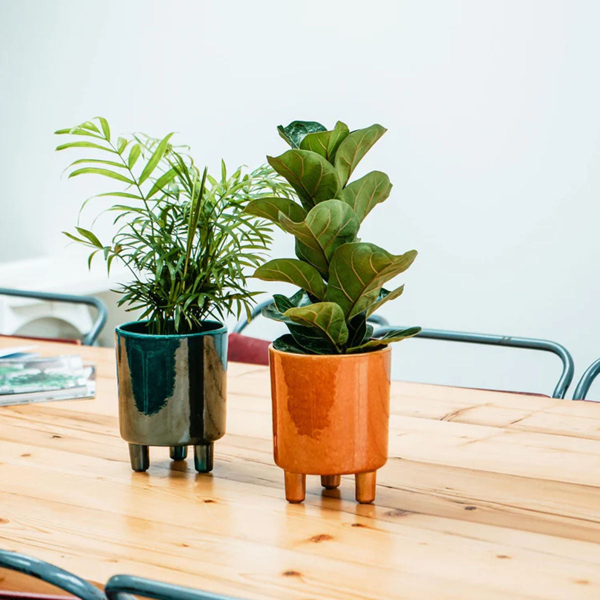 Ivyline Pisa Planter