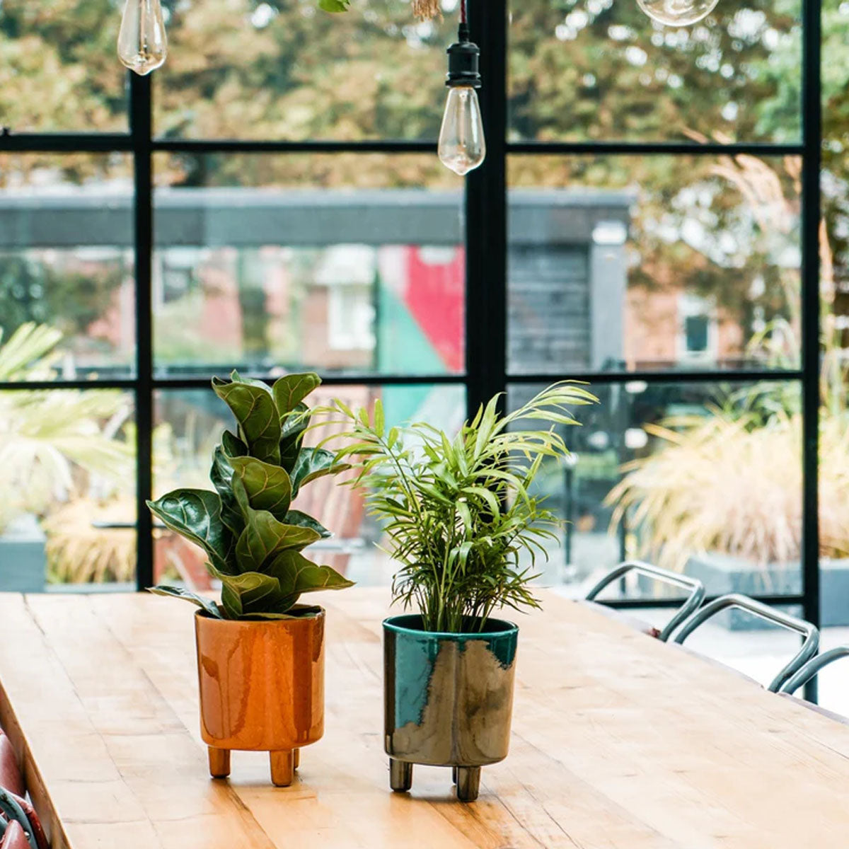 Ivyline Pisa Planter