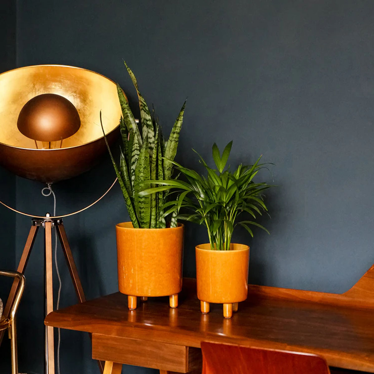 Ivyline Pisa Planter