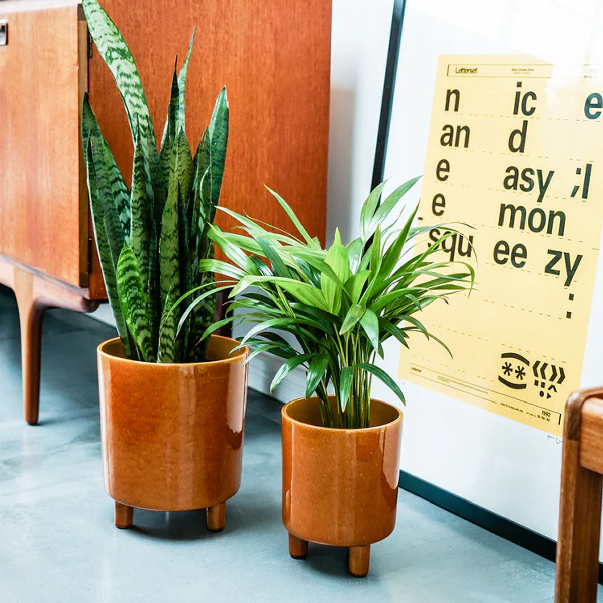 Ivyline Pisa Planter