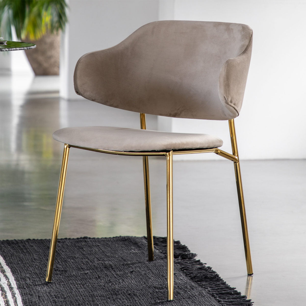 Gallery Direct Whitehall Dining Chair Taupe (2pk)