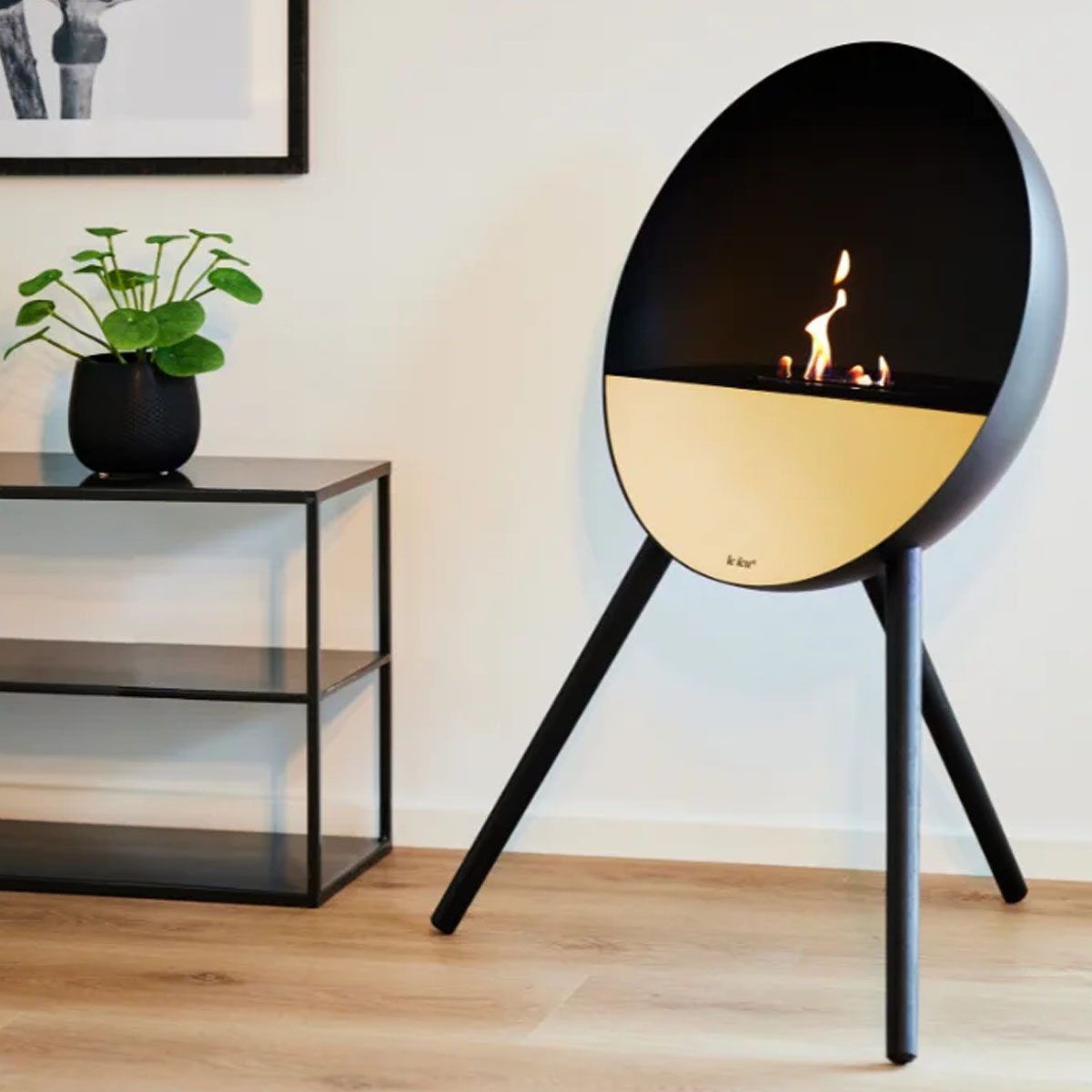 Le Feu Eye - Black
