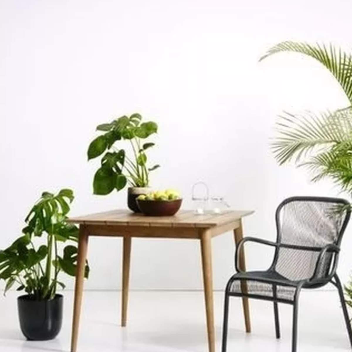 Vincent Shepherd Loop Outdoor Lounge Chair - Black