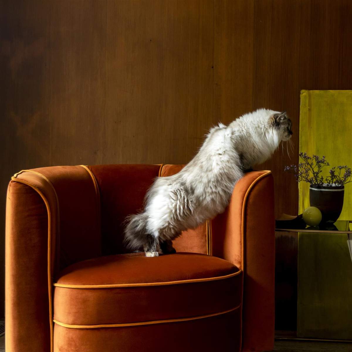 Dutch Bone Lounge Chair Flower Orange