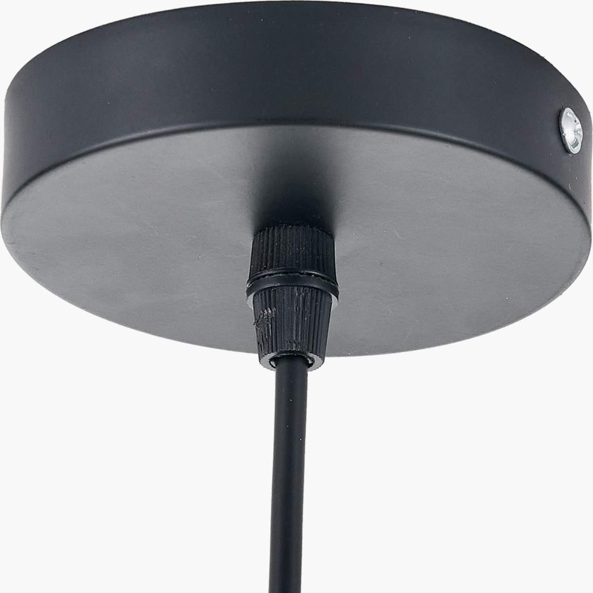 Pacific Lifestyle Lucien Tortoiseshell Glass Pendant