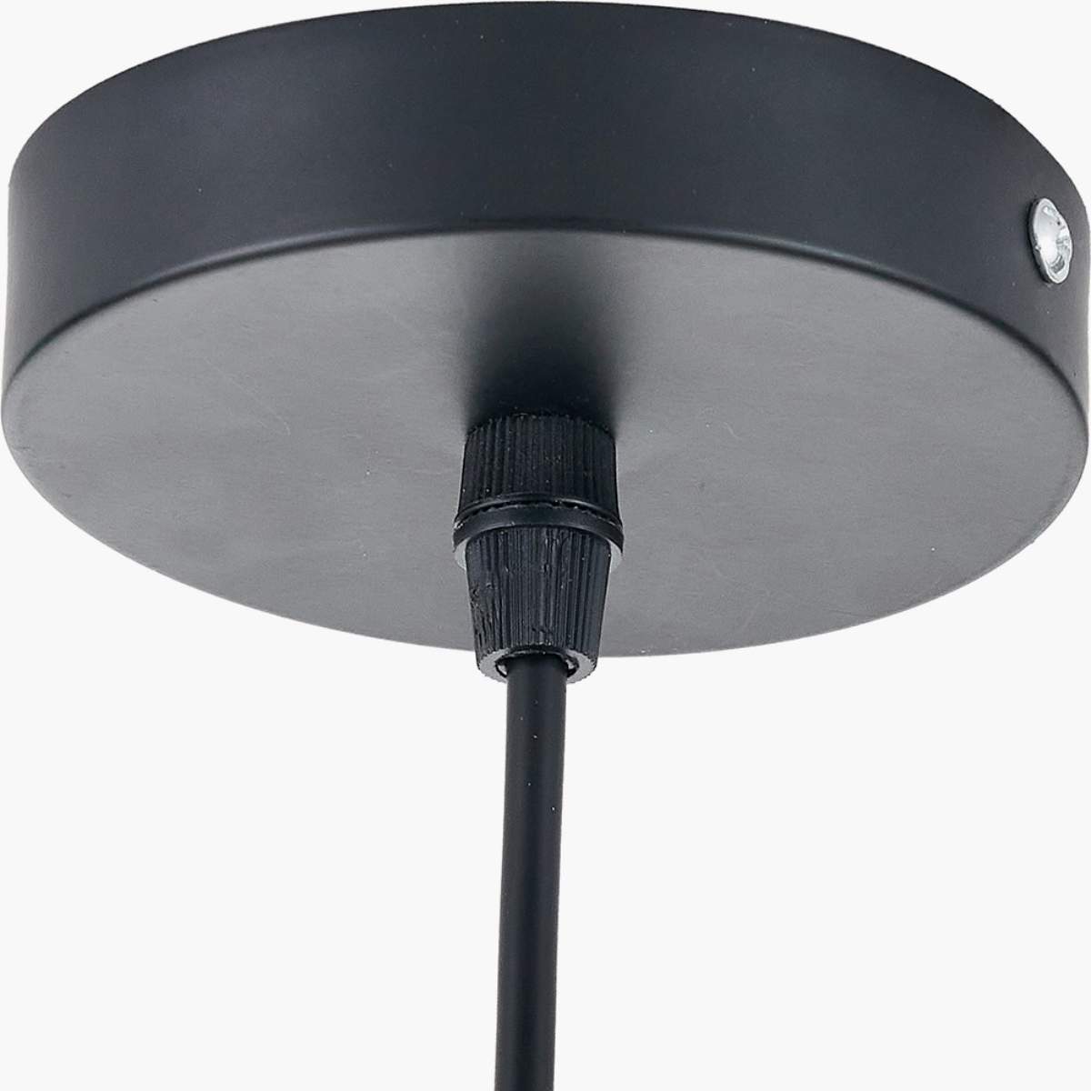Pacific Lifestyle Lucien Tortoiseshell Glass Pendant