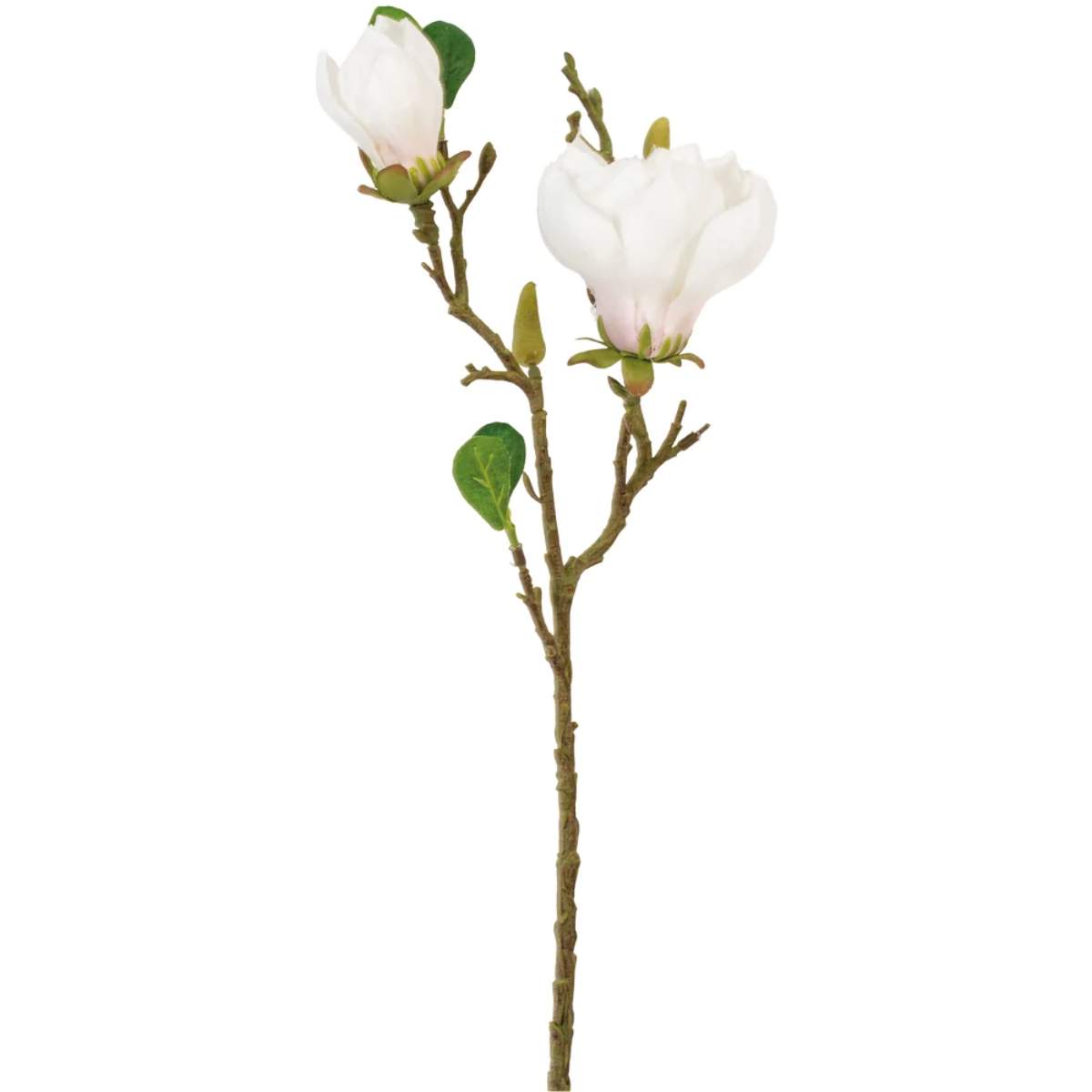 Grand Illusions Magnolia Stem