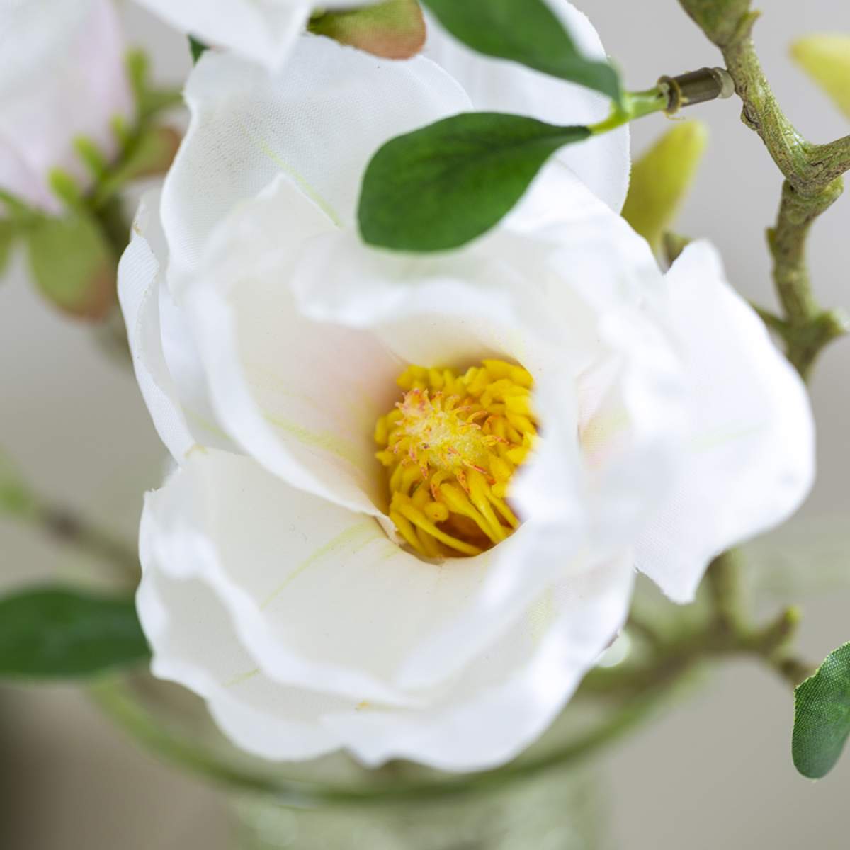 Grand Illusions Magnolia Stem